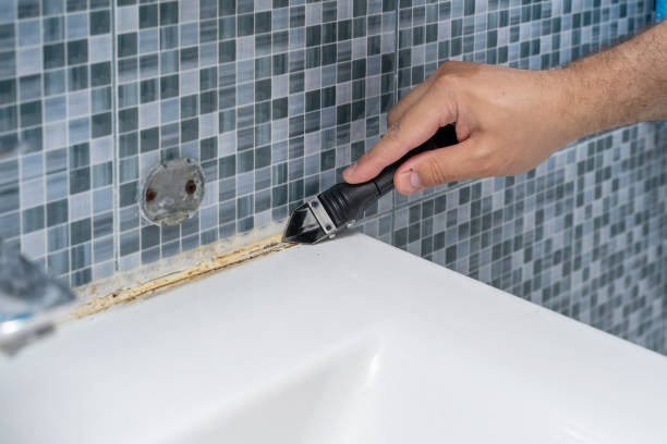 Best Professional Mold Removal  in Mira Monte, CA