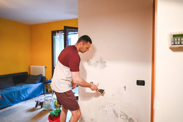 Best Local Mold Removal Service  in Mira Monte, CA